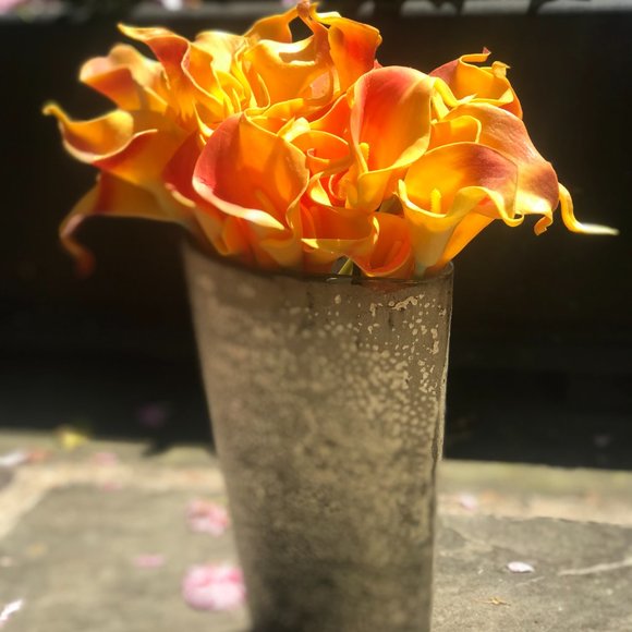 Luxe mango (fuego) calla lillies + vase - Picture 2 of 12